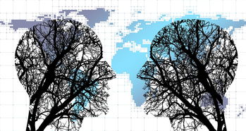 开云体育官网下载-体育新闻中心协同多方建立体育内容风控机制，体育新闻机构